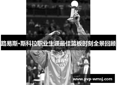 路易斯·斯科拉职业生涯最佳篮板时刻全景回顾