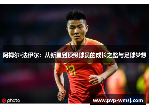 阿梅尔·法伊尔：从新星到顶级球员的成长之路与足球梦想