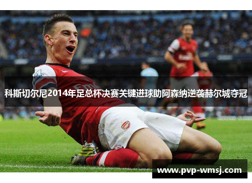 科斯切尔尼2014年足总杯决赛关键进球助阿森纳逆袭赫尔城夺冠