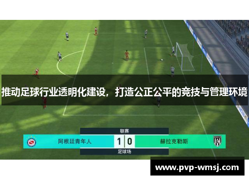 推动足球行业透明化建设，打造公正公平的竞技与管理环境