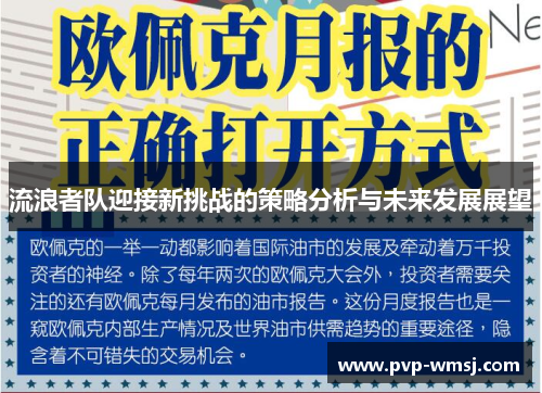 流浪者队迎接新挑战的策略分析与未来发展展望