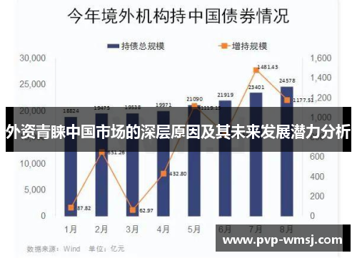 外资青睐中国市场的深层原因及其未来发展潜力分析
